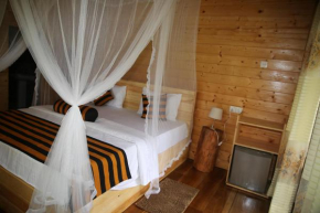 Eco Village